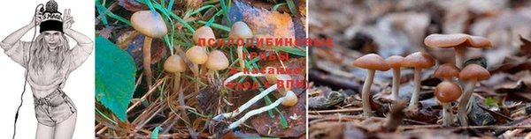 герыч Зеленодольск