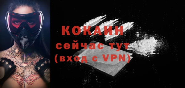 кокаин премиум Заводоуковск