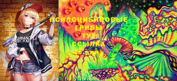 индика Заволжск