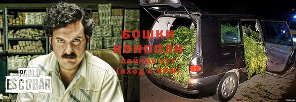 индика Заволжск