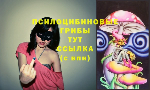 крисы Зеленокумск