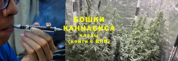 крисы Зеленокумск