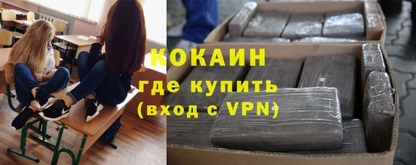 индика Заволжск